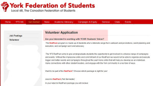 YFS volunteer